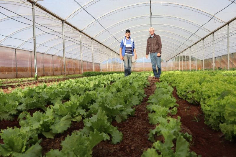 Fundect lança Chamada Extensão Tecnológica para Agricultores Familiares, Povos  Originários e Comunidades Tradicionais – FUNDECT